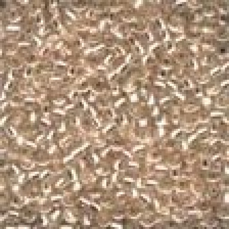 Бисер Mill Hill 03050 Champagne Ice Antique Seed Beads - Размер 11/0