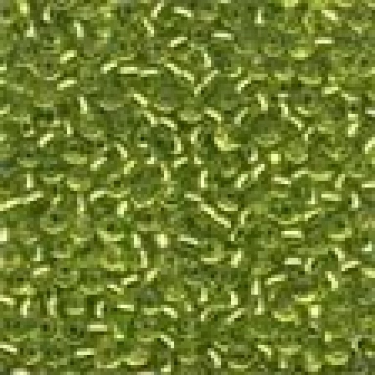 Бисер Mill Hill 02031 Glass Seed Beads Citron - Размер 11/0
